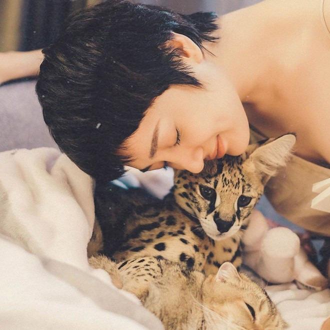 2 nữ ca sĩ đình đám showbiz Việt sở hữu những chú mèo quý có giá khủng là ai?-2