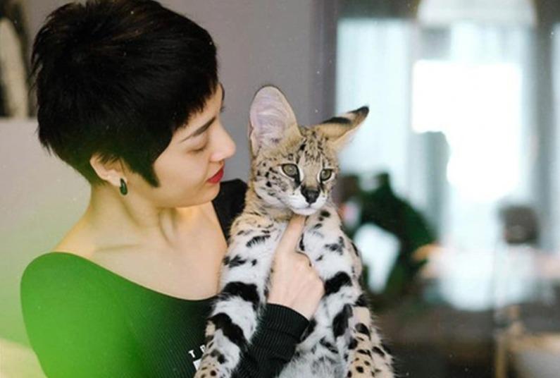 2 nữ ca sĩ đình đám showbiz Việt sở hữu những chú mèo quý có giá khủng là ai?-3