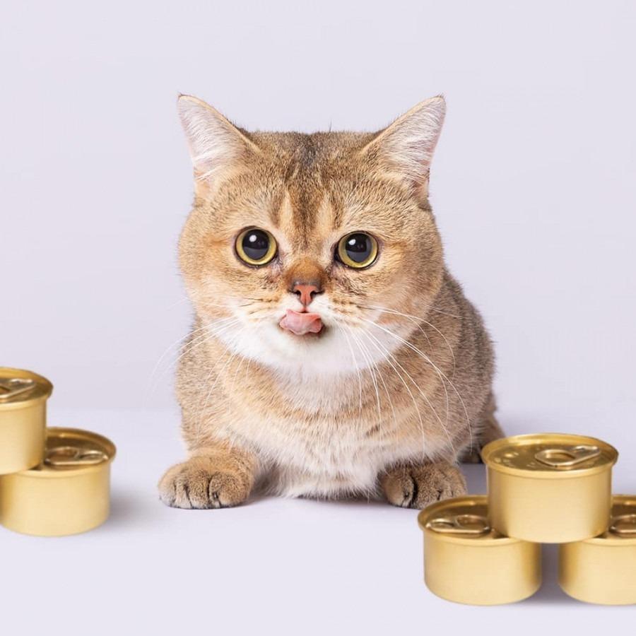 2 nữ ca sĩ đình đám showbiz Việt sở hữu những chú mèo quý có giá khủng là ai?-6