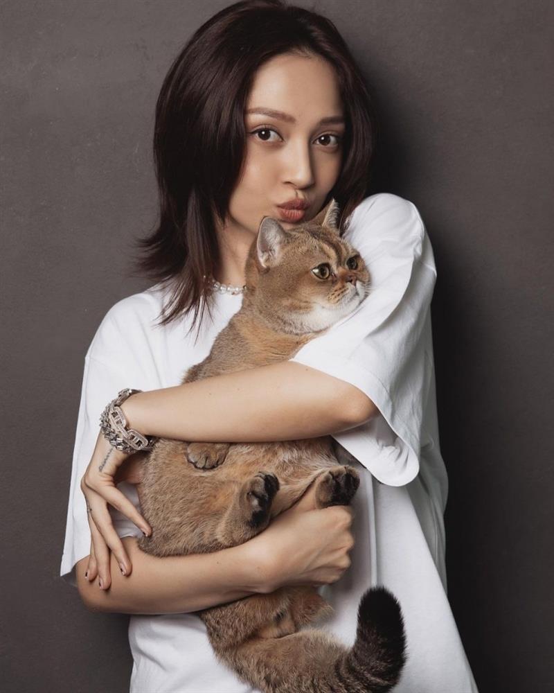 2 nữ ca sĩ đình đám showbiz Việt sở hữu những chú mèo quý có giá khủng là ai?-7