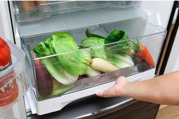 3 ổ vi khuẩn trong tủ lạnh ít được người dùng vệ sinh-2