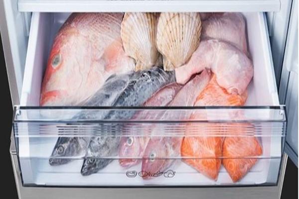 3 ổ vi khuẩn trong tủ lạnh ít được người dùng vệ sinh-3