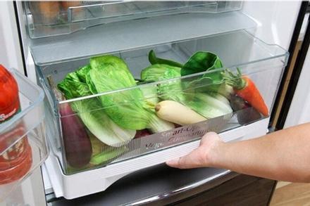 3 'ổ vi khuẩn' trong tủ lạnh ít được người dùng vệ sinh