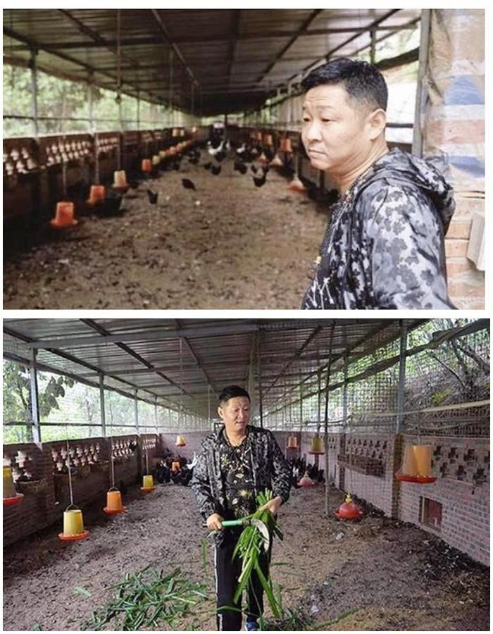 Nam diễn viên bỏ nghề, về quê nuôi gà kiếm hơn 300 tỷ đồng sau 10 năm-3