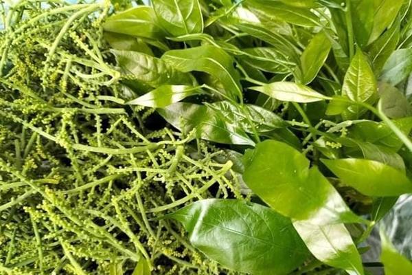 Có nên ăn thịt bò và uống rượu cùng lúc?-2