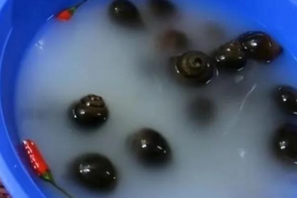 4 thời điểm vàng nên ăn sữa chua-3