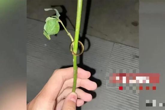 Nhặt được nhẫn vàng trong thùng rác, chàng trai bị 'đòi nợ' ráo riết: Cái kết mới bất ngờ