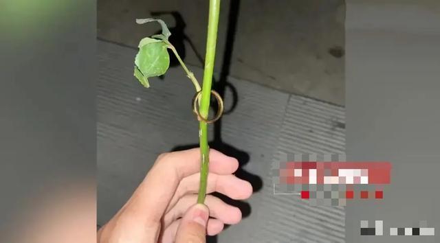 Nhặt được nhẫn vàng trong thùng rác, chàng trai bị đòi nợ ráo riết: Cái kết mới bất ngờ-1