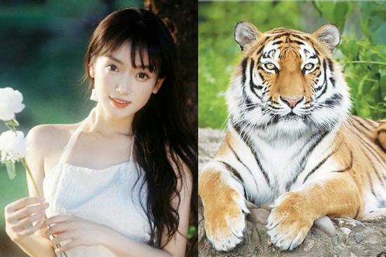 Đúng hôm nay 3 con giáp trúng vận đại phát, may mắn ồ ạt, tài lộc phủ kín từ đầu ngõ