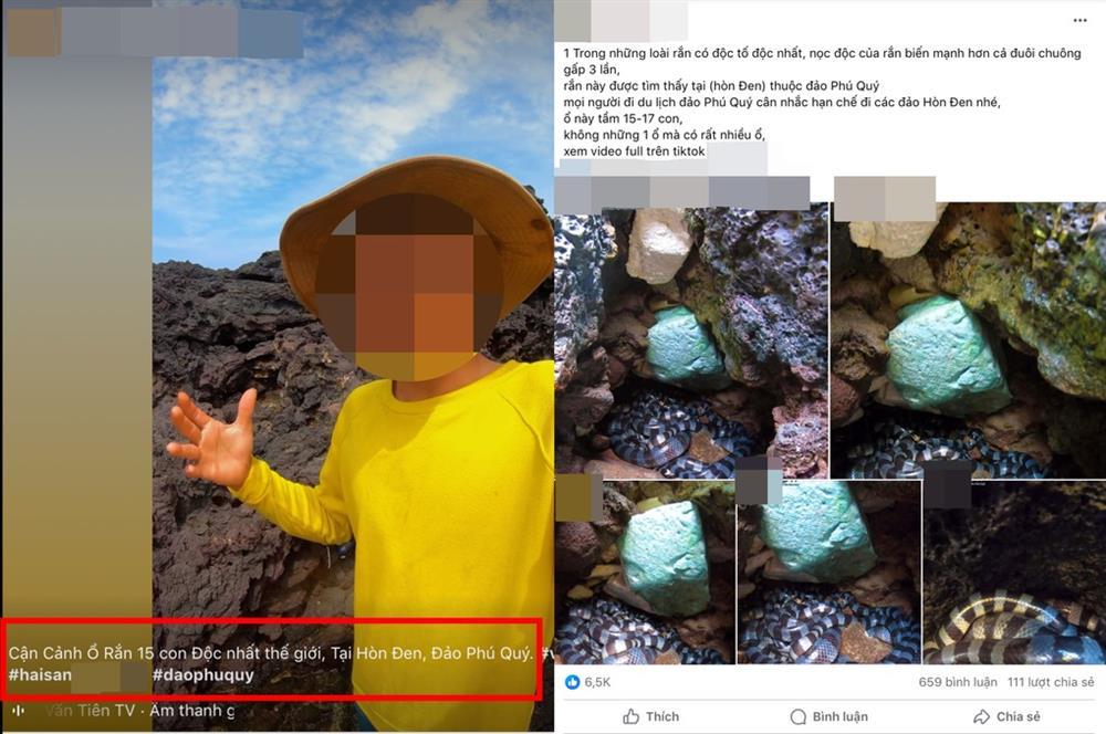 Xôn xao ổ rắn độc nhất thế giới ở đảo Phú Quý khiến du khách hoang mang-1