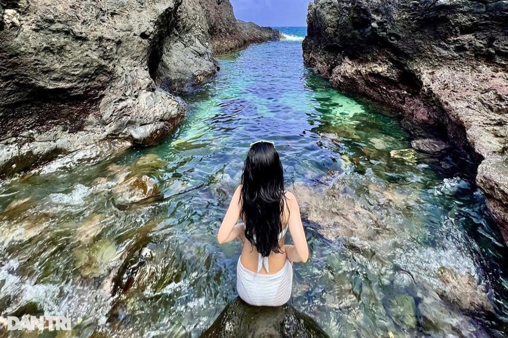 Xôn xao ổ rắn độc nhất thế giới ở đảo Phú Quý khiến du khách hoang mang-3