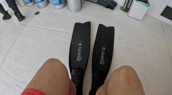 Khách Việt chi 50 triệu đồng và hành trình săn cá mập khát máu ở Maldives-2