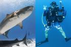 Khách Việt chi 50 triệu đồng và hành trình 'săn' cá mập khát máu ở Maldives