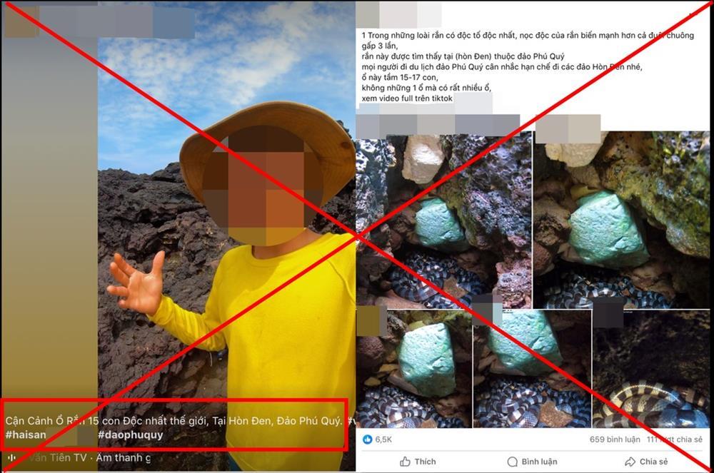 Sự thật ổ rắn 15 con độc nhất thế giới trên đảo Phú Quý-1