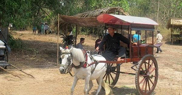 TPHCM xây phim trường như Hollywood: Lãng phí hay thiết thực?-2