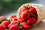 10 loại rau quả giúp kéo dài tuổi thọ, chống lão hóa-6