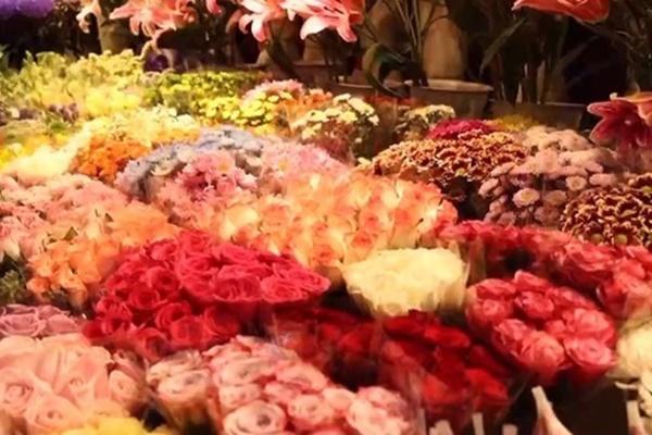 Căn phòng bé như buồng đẻ được cho thuê với giá 14 triệu đồng-2