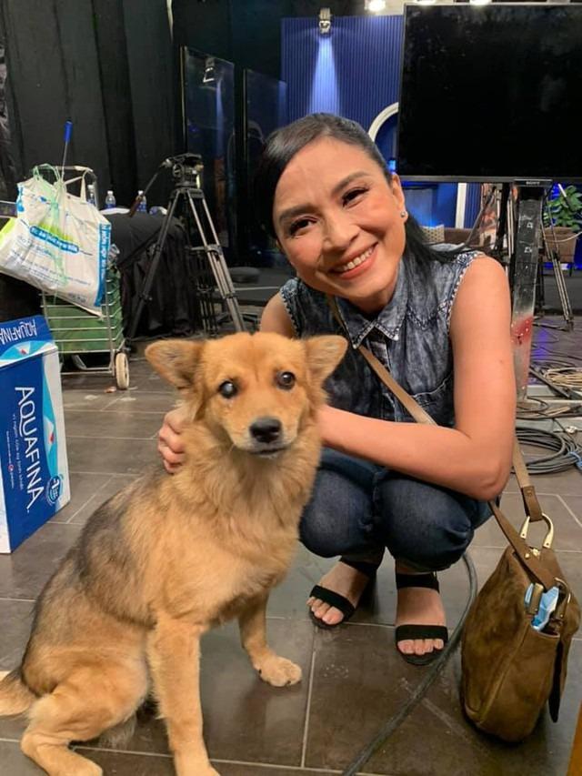 Nữ chính Cô Gái Xấu Xí: Mỹ nhân Sài thành nức tiếng, tuổi xế chiều kín tiếng sau biến cố tai nạn và bệnh tật-8