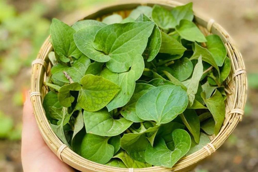 Hòa Minzy tiết lộ loại rau giúp làn da cô trắng mịn, mùa hè người Việt nên ăn để thải độc và kéo dài tuổi thọ-3