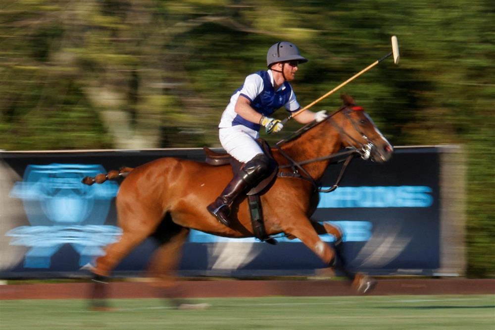 Harry và Meghan hôn nhau trên sân polo-4