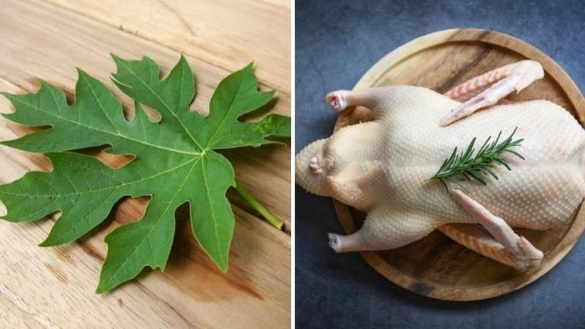 Bí quyết nhổ lông vịt nhanh, sạch bong, không tốn thời gian-1