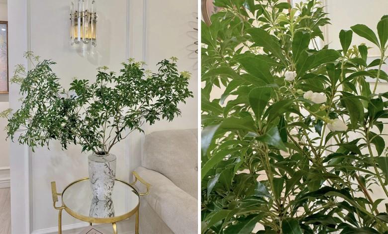 Cuộc sống hiện tại của MC Diệp Chi sau tin đồn ly hôn nhưng chưa một lần lên tiếng-8