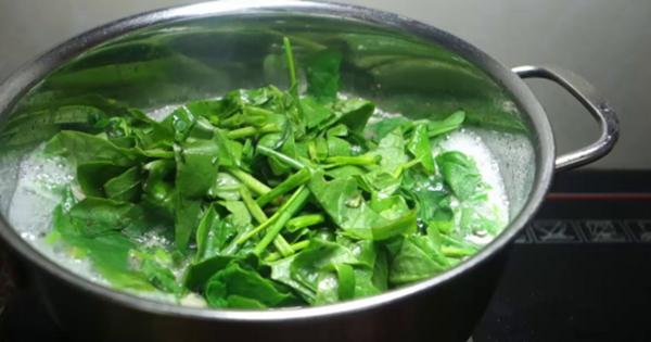 Đừng ăn loại rau là đặc sản của mùa hè nếu thuộc những nhóm người này-3