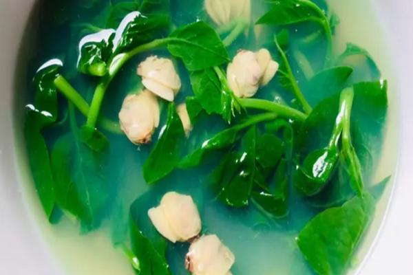 Rau dại Việt Nam quý như vàng ở xứ người, phải liều mới hái được-5