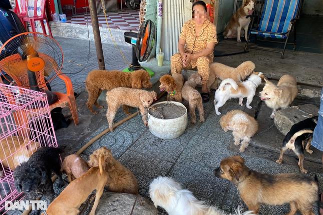 8 năm không dám bồng con đi dạo vì hàng xóm nuôi gần 100 con chó, mèo-5