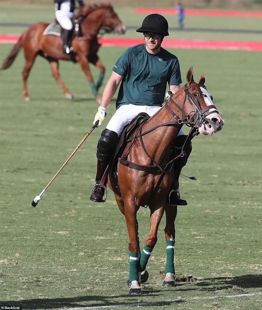 Góc khuất trụy lạc về môn thể thao quý tộc-3