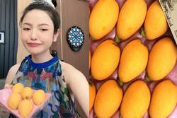 Loại quả dại mọc ven đường Nhật Bản, về Việt Nam thành của hiếm, vợ Quang Hải mua nửa triệu/kg