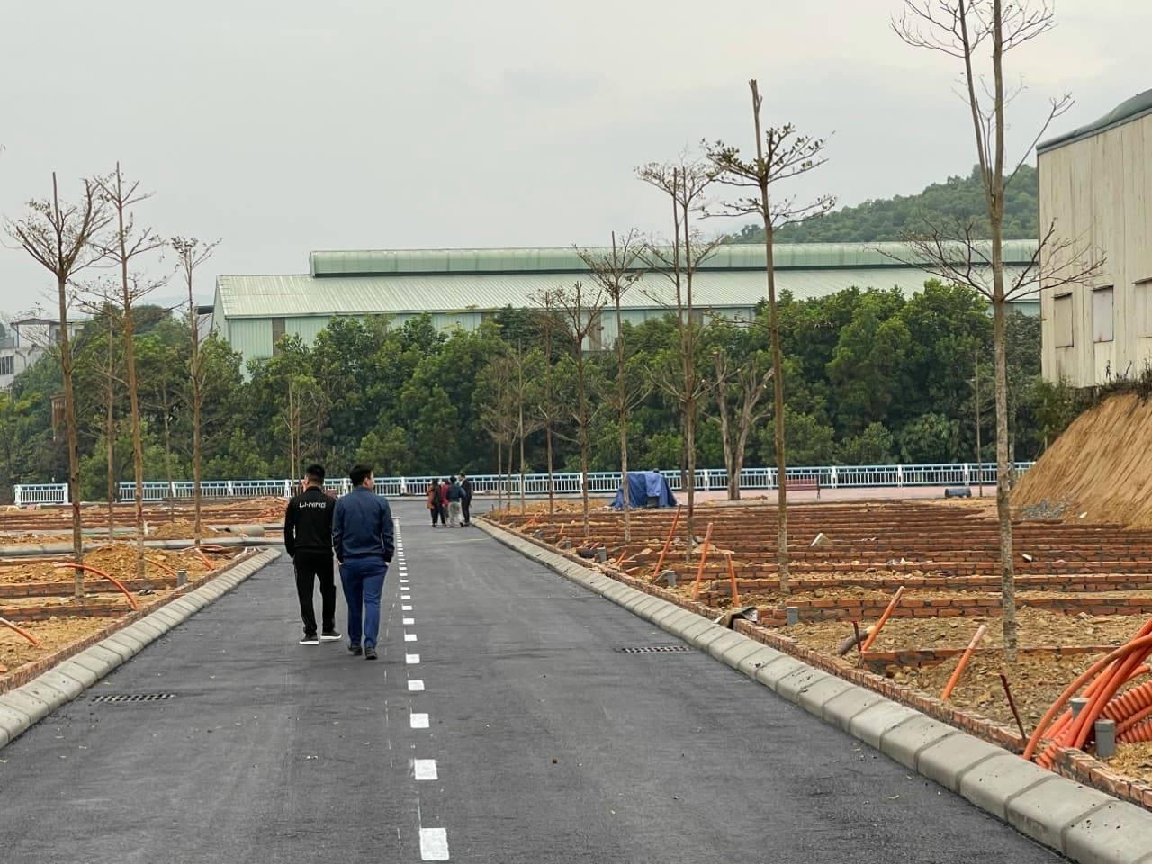 Cuộc sống bà chủ đại gia trà đá sau hai năm nổi như cồn vì sở hữu cơ ngơi khủng-5