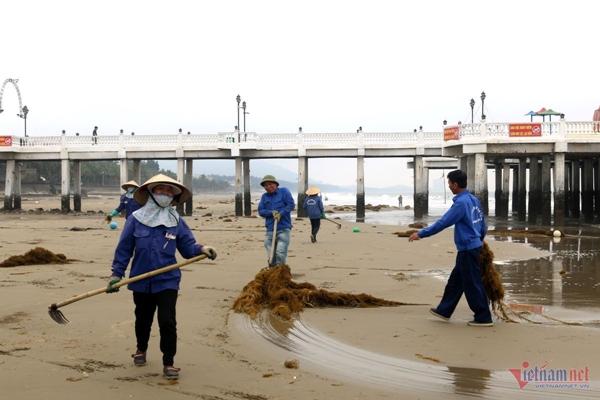Thanh Hóa chỉ đạo xử lý bẫy chông sắt mọc khắp nơi trên bãi biển du lịch-4