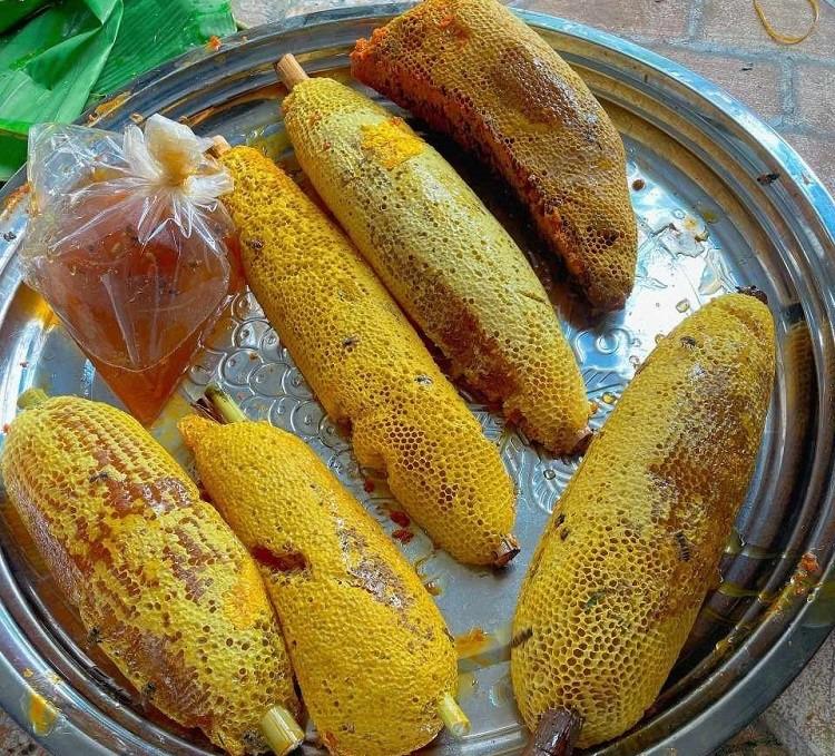 Loại ong tí hon làm tổ bằng nắm tay cho mật quý, giá cả triệu đồng/lít-2