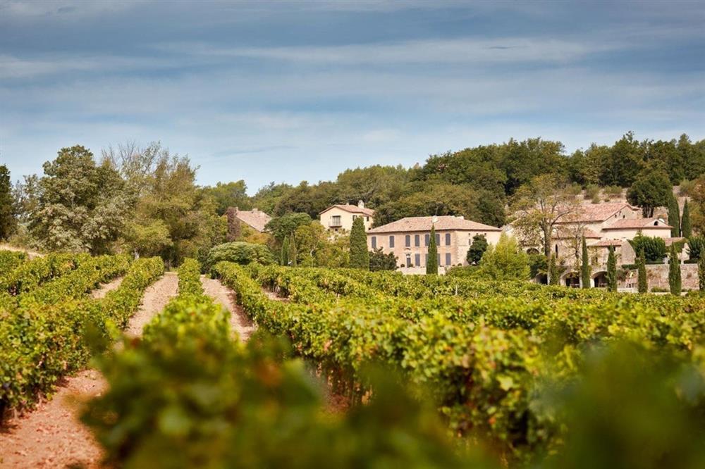 Angelina Jolie tố chồng cũ hút máu, Brad Pitt nói đã chuyển 100 triệu USD-3