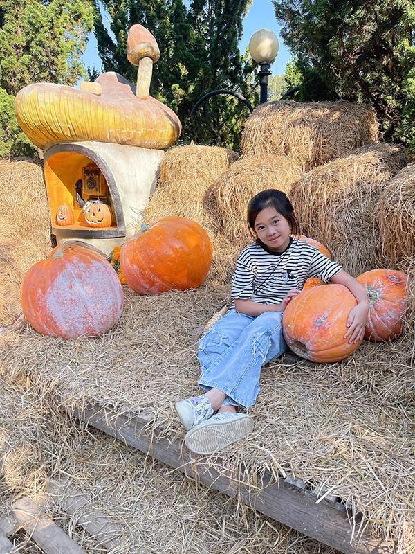 4 năm ngày mất diễn viên Mai Phương, con gái được nuôi dưỡng ra sao?-8