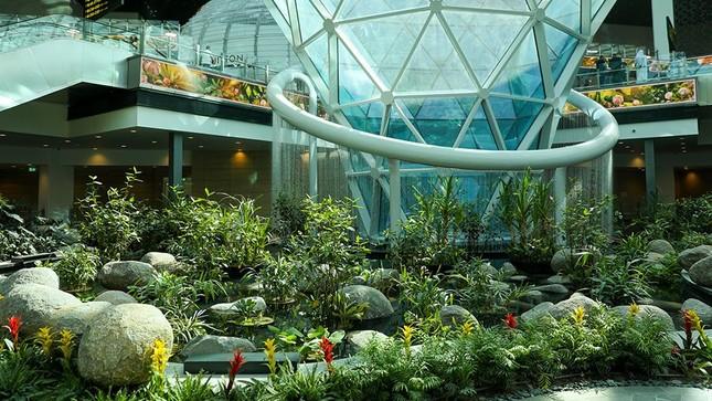 Lý do sân bay Changi mất vị trí tốt nhất thế giới-2