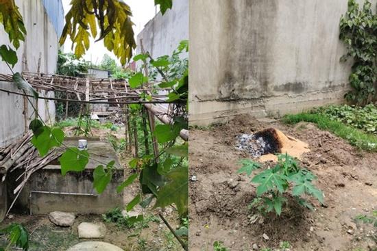 Nghi phạm 15 tuổi sát hại bạn gái rồi chôn trong vườn nhà: Sinh ra trong tù, thiếu sự chăm sóc của bố mẹ