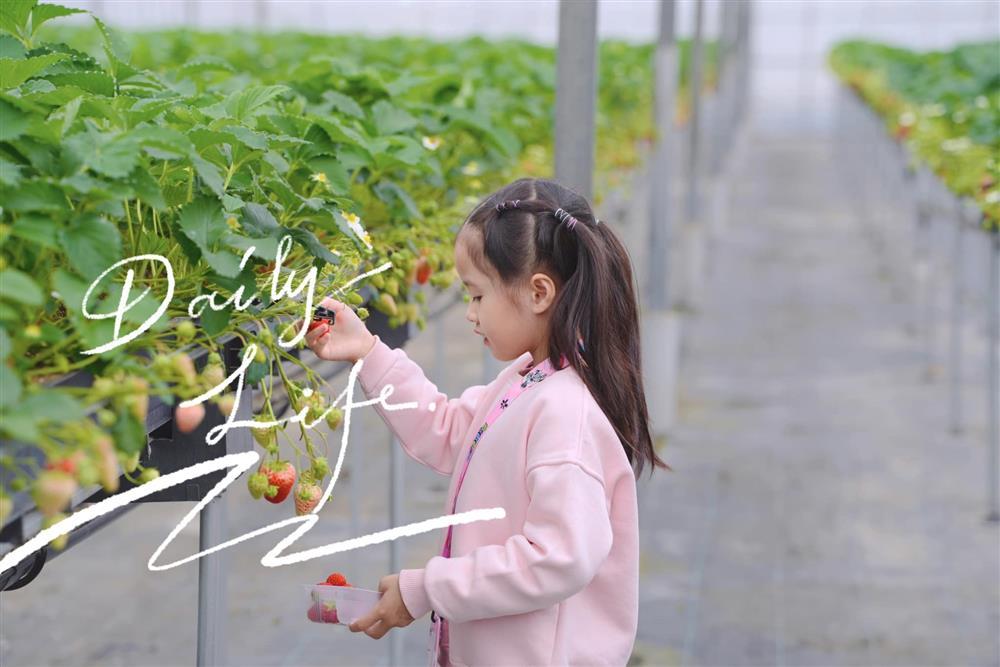 Lên 6 tuổi, con gái hoa hậu Đặng Thu Thảo đã suy nghĩ giống hệt bà cụ non, được nuôi dạy chuẩn tiểu thư hào môn-5