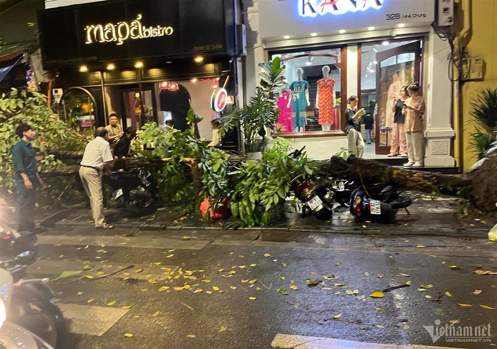 Giông lốc, mưa đá ở Hà Nội khiến nhiều cây xanh bật gốc-1