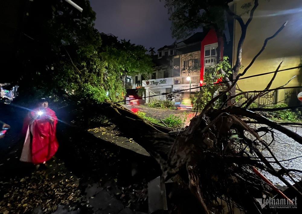 Giông lốc, mưa đá ở Hà Nội khiến nhiều cây xanh bật gốc-3