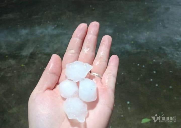 Giông lốc, mưa đá ở Hà Nội khiến nhiều cây xanh bật gốc-7