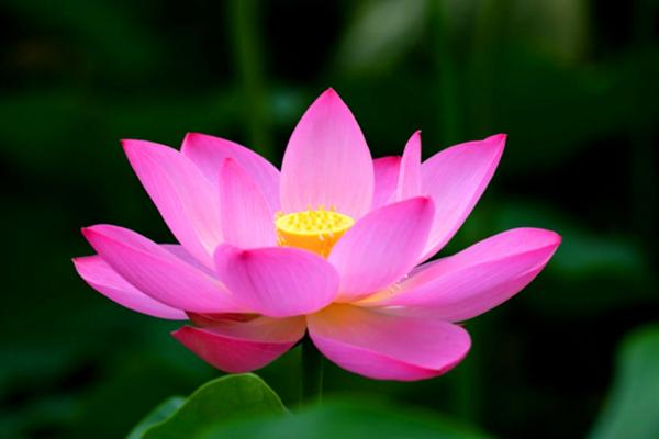 Thứ ba 23/4/2024, 3 con giáp cục diện tương hại, phòng họa mất tiền, tình duyên trục trặc-1