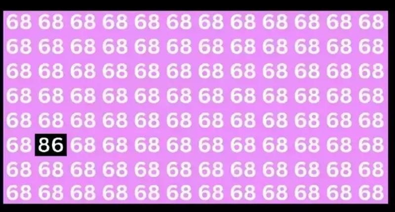 Thử thách tìm số 86 ẩn giấu bên trong hình ảnh: Nếu làm được chứng tỏ bạn có khả năng quan sát đỉnh-2