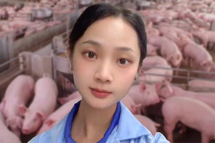 Tốt nghiệp khoa Văn học, cô gái bỏ phố về quê nuôi lợn