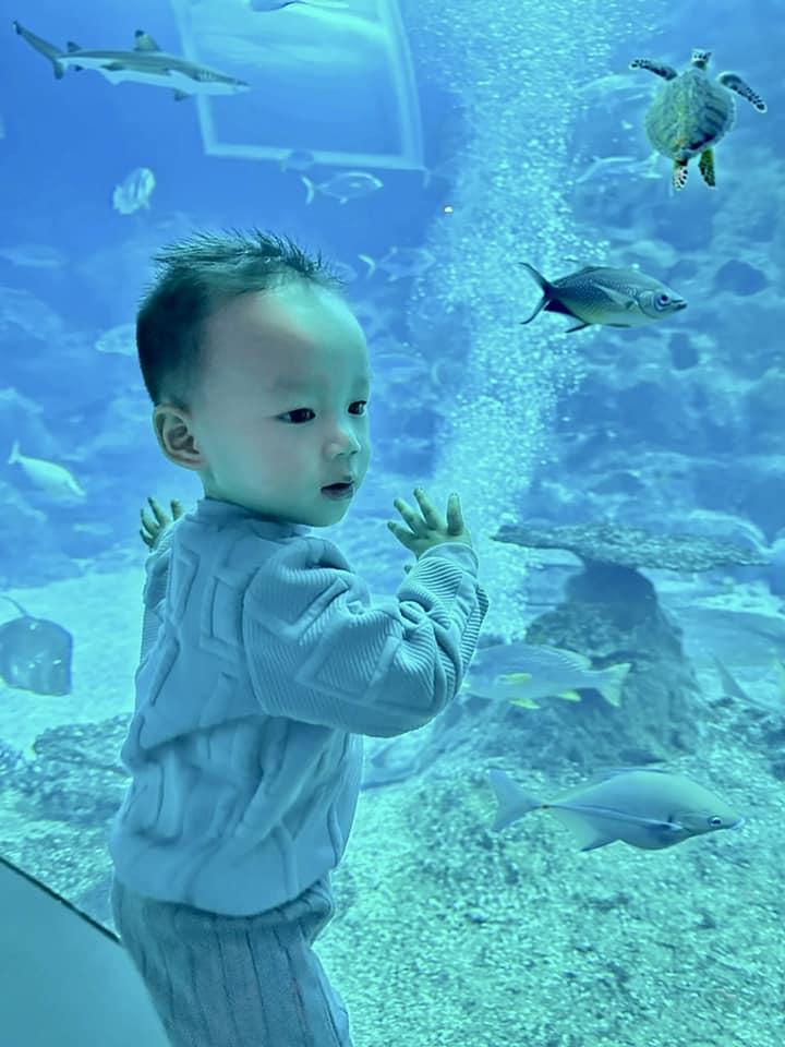 Bảo Thy nuôi dạy con phát triển tự nhiên, bé 2 tuổi cứng cáp và thông minh vẫn bị chê còi-8