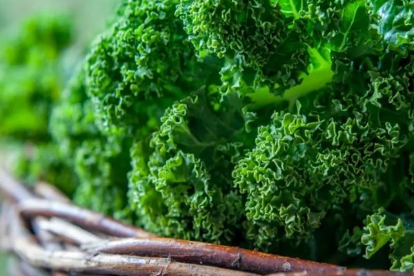 10 loại rau quả giúp kéo dài tuổi thọ, chống lão hóa-5