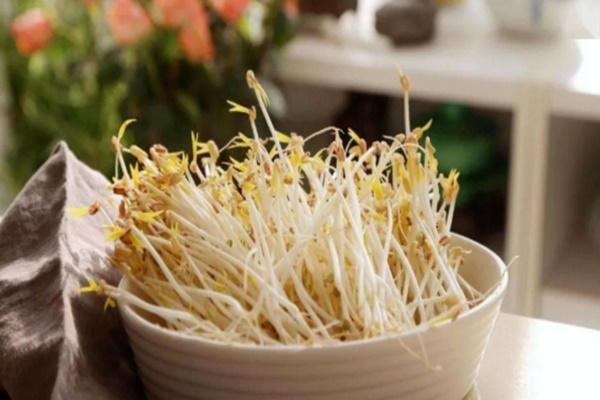 Những người không nên ăn giá đỗ-2