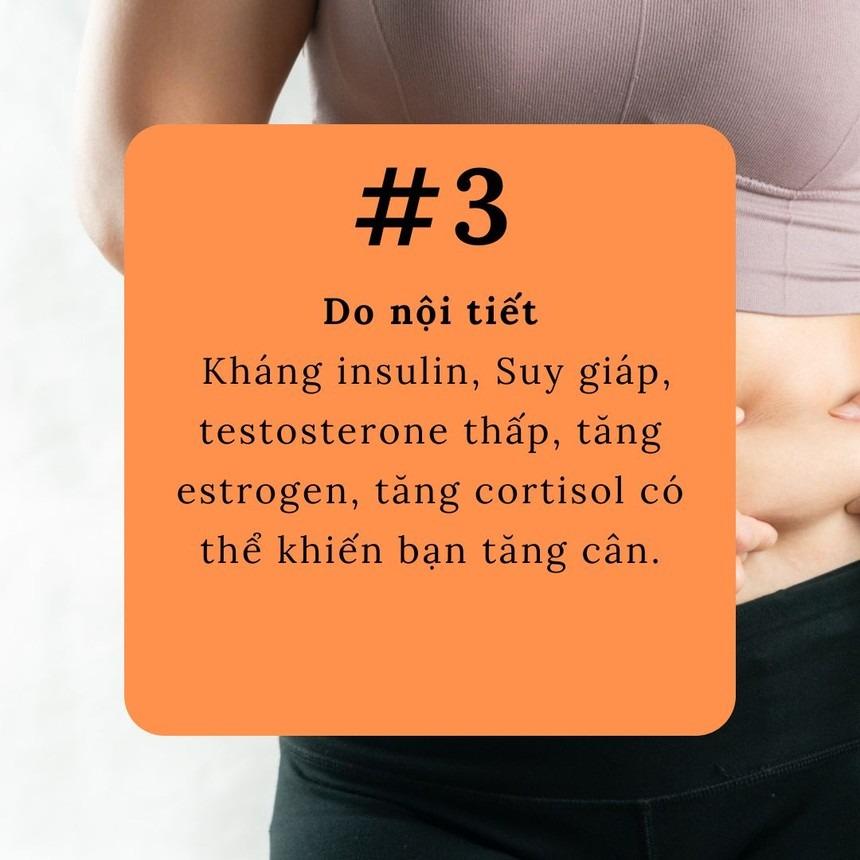 5 lý do khiến bạn ăn ít nhưng vẫn béo-3