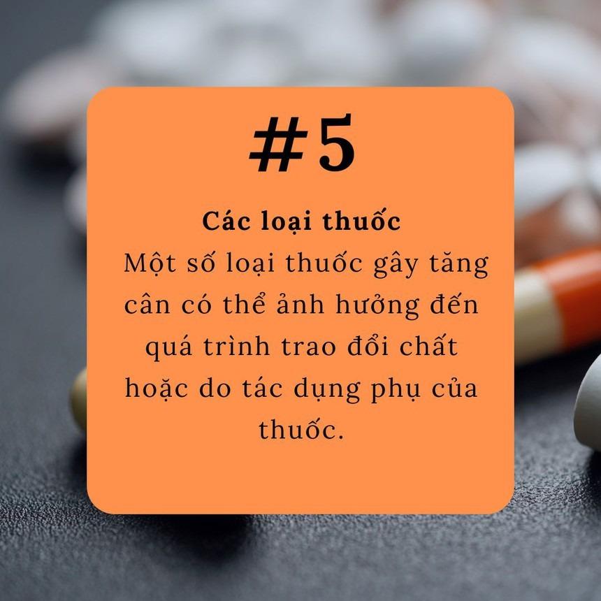 5 lý do khiến bạn ăn ít nhưng vẫn béo-5